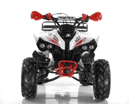 Квадроцикл MOTAX ATV Raptor Super LUX 125 cc, фото 5 Квадроцикл MOTAX ATV Raptor Super LUX 125 cc, фото 5