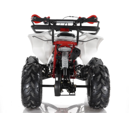 Квадроцикл MOTAX ATV Raptor Super LUX 125 cc, фото 4 Квадроцикл MOTAX ATV Raptor Super LUX 125 cc, фото 4