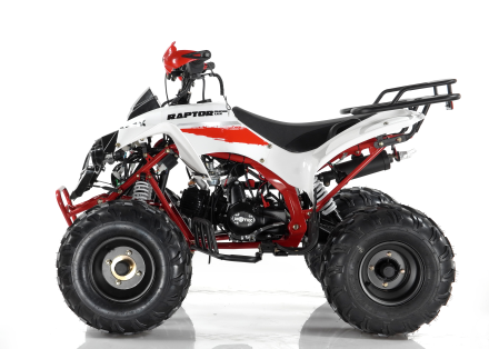 Квадроцикл MOTAX ATV Raptor Super LUX 125 cc, фото 2