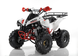 Квадроцикл MOTAX ATV Raptor Super LUX 125 cc, фото 1 Квадроцикл MOTAX ATV Raptor Super LUX 125 cc, фото 1
