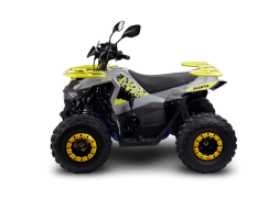 Квадроцикл AVANTIS Ray 8 Lux, фото 3