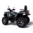 Квадроцикл MOTAX ATV Grizlik Y300