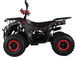 Квадроцикл MOTAX ATV Grizlik Super Lux 125cc, фото 3 Квадроцикл MOTAX ATV Grizlik Super Lux 125cc, фото 3