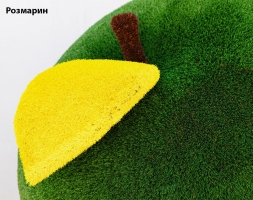 Топиари яблоко Розмарин - газон Deluxe + Eco, фото 2