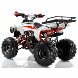 Квадроцикл MOTAX ATV Raptor Super LUX 125 сс, фото 9