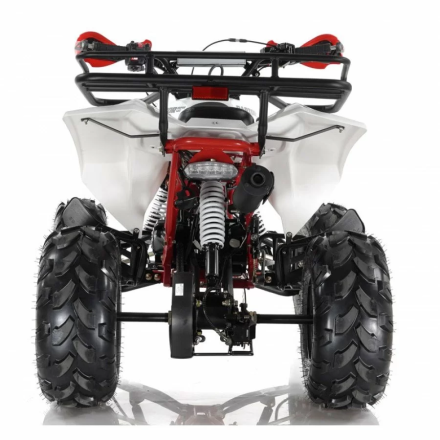 Квадроцикл MOTAX ATV Raptor Super LUX 125 сс, фото 3