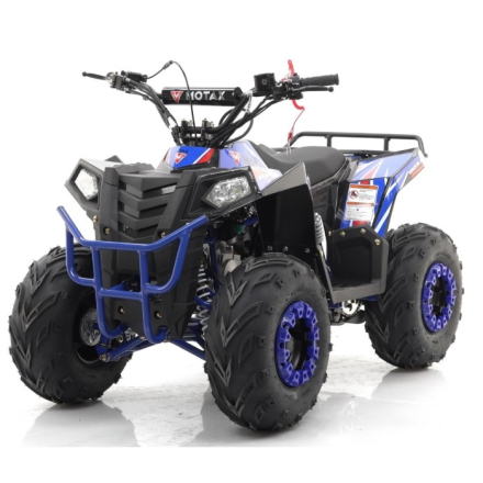 Квадроцикл MOTAX GRIZLIK A110, фото 3