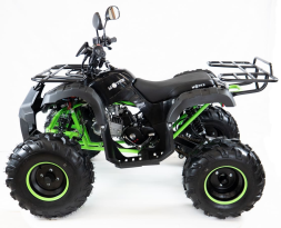 Квадроцикл MOTAX ATV Grizlik LUX 125cc, фото 4 Квадроцикл MOTAX ATV Grizlik LUX 125cc, фото 4