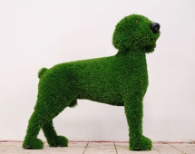 Топиари собака Грек - газон Eco Топиари собака Грек - газон Eco