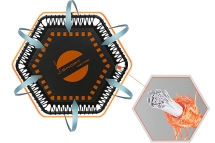 Батут Hasttings J-Short Батут Hasttings J-Short