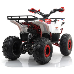 Квадроцикл бензиновый MOTAX GRIZLIK A125, фото 4 Квадроцикл бензиновый MOTAX GRIZLIK A125, фото 4