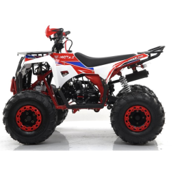 Квадроцикл бензиновый MOTAX GRIZLIK A125, фото 2 Квадроцикл бензиновый MOTAX GRIZLIK A125, фото 2