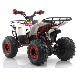 Квадроцикл бензиновый MOTAX GRIZLIK A125, фото 1 Квадроцикл бензиновый MOTAX GRIZLIK A125, фото 1