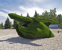 Топиари Самолет в ладонях - газон Есо Топиари Самолет в ладонях - газон Есо