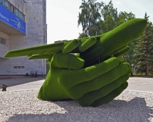 Топиари Самолет в ладонях - газон Есо Топиари Самолет в ладонях - газон Есо