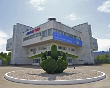 Топиари Самолет в ладонях - газон Есо Топиари Самолет в ладонях - газон Есо