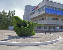 Топиари Самолет в ладонях - газон Есо Топиари Самолет в ладонях - газон Есо