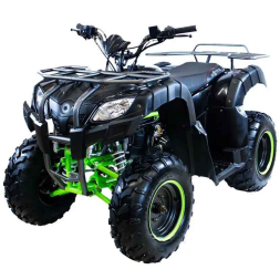 Квадроцикл MOTAX ATV Grizlik 200 Lux, фото 1