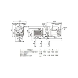 Насос с префильтром AquaViva LX SEQ1000, фото 4