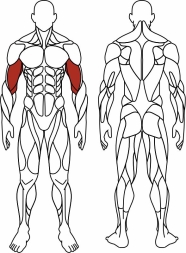 Бицепс сидя (серый) - Уличный тренажер - СТ 034-13.И1, фото 6 Бицепс сидя (серый) - Уличный тренажер - СТ 034-13.И1, фото 6