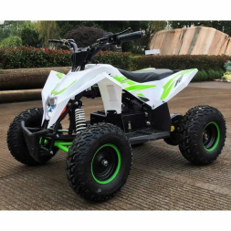 Квадроцикл MOTAX GEKKON 1300W, фото 8