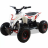 Квадроцикл MOTAX GEKKON 1300W