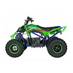 Квадроцикл электрический Motax E-PENTORA 1500W, фото 6 Квадроцикл электрический Motax E-PENTORA 1500W, фото 6