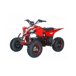 Квадроцикл электрический Motax E-PENTORA 1500W, фото 5 Квадроцикл электрический Motax E-PENTORA 1500W, фото 5