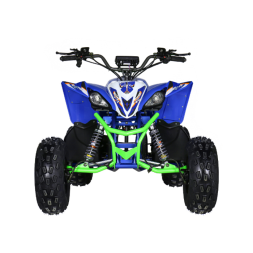 Квадроцикл электрический Motax E-PENTORA 1500W, фото 2 Квадроцикл электрический Motax E-PENTORA 1500W, фото 2