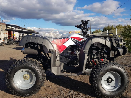 Квадроцикл YACOTA Sela 150, фото 5