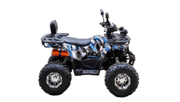 Квадроцикл BISON 125 Hunter LD, фото 4