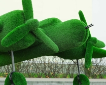 Топиари Самолет Победа - газон Eco Топиари Самолет Победа - газон Eco