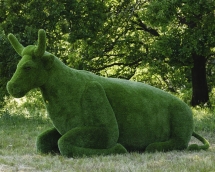 Топиари Корова - газон Premium Топиари Корова - газон Premium