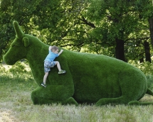 Топиари Корова - газон Premium Топиари Корова - газон Premium