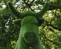 Топиари Корова - газон Premium Топиари Корова - газон Premium