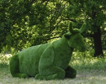 Топиари Корова - газон Premium Топиари Корова - газон Premium