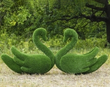 Топиари лебедь Кристи Два лебедя - газон Eco