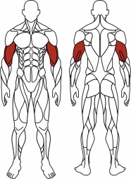 Бицепс стоя (красный) - Уличный тренажер - СТ 035-11.И1, фото 6 Бицепс стоя (красный) - Уличный тренажер - СТ 035-11.И1, фото 6