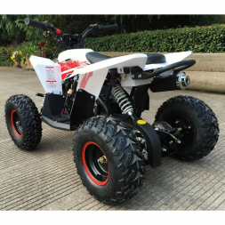 Квадроцикл MOTAX GEKKON 90cc, фото 12