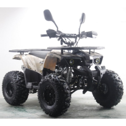 Подростковый квадроцикл MOTAX ATV Grizlik Premium 125cc, фото 10 Подростковый квадроцикл MOTAX ATV Grizlik Premium 125cc, фото 10