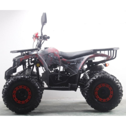 Подростковый квадроцикл MOTAX ATV Grizlik Premium 125cc, фото 9 Подростковый квадроцикл MOTAX ATV Grizlik Premium 125cc, фото 9