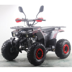 Подростковый квадроцикл MOTAX ATV Grizlik Premium 125cc, фото 8 Подростковый квадроцикл MOTAX ATV Grizlik Premium 125cc, фото 8