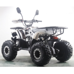 Подростковый квадроцикл MOTAX ATV Grizlik Premium 125cc, фото 4 Подростковый квадроцикл MOTAX ATV Grizlik Premium 125cc, фото 4