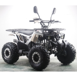 Подростковый квадроцикл MOTAX ATV Grizlik Premium 125cc, фото 3 Подростковый квадроцикл MOTAX ATV Grizlik Premium 125cc, фото 3