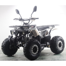 Подростковый квадроцикл MOTAX ATV Grizlik Premium 125cc, фото 1 Подростковый квадроцикл MOTAX ATV Grizlik Premium 125cc, фото 1