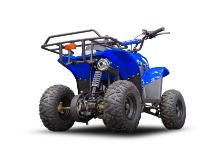 Квадроцикл TIGER 150 Universal RX, фото 6