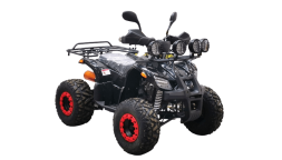 Квадроцикл BISON Kids 125 LD, фото 3