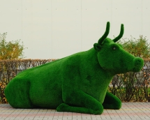 Топиари корова Хэльга - газон Eco Топиари корова Хэльга - газон Eco