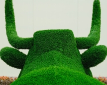 Топиари корова Хэльга - газон Eco Топиари корова Хэльга - газон Eco