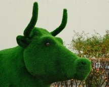 Топиари корова Хэльга - газон Eco Топиари корова Хэльга - газон Eco